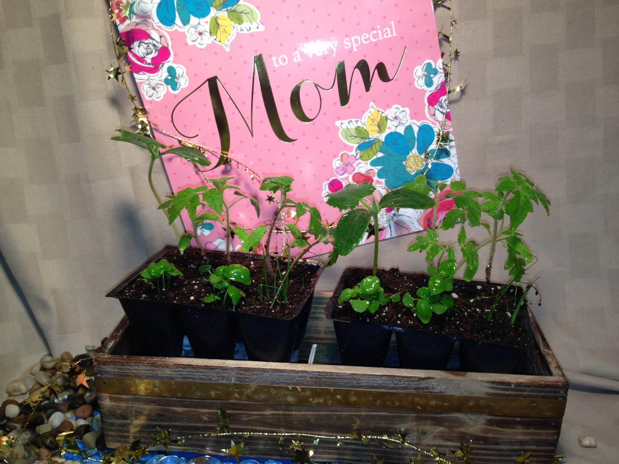 First Round Of Photos For Mothers Day Specials