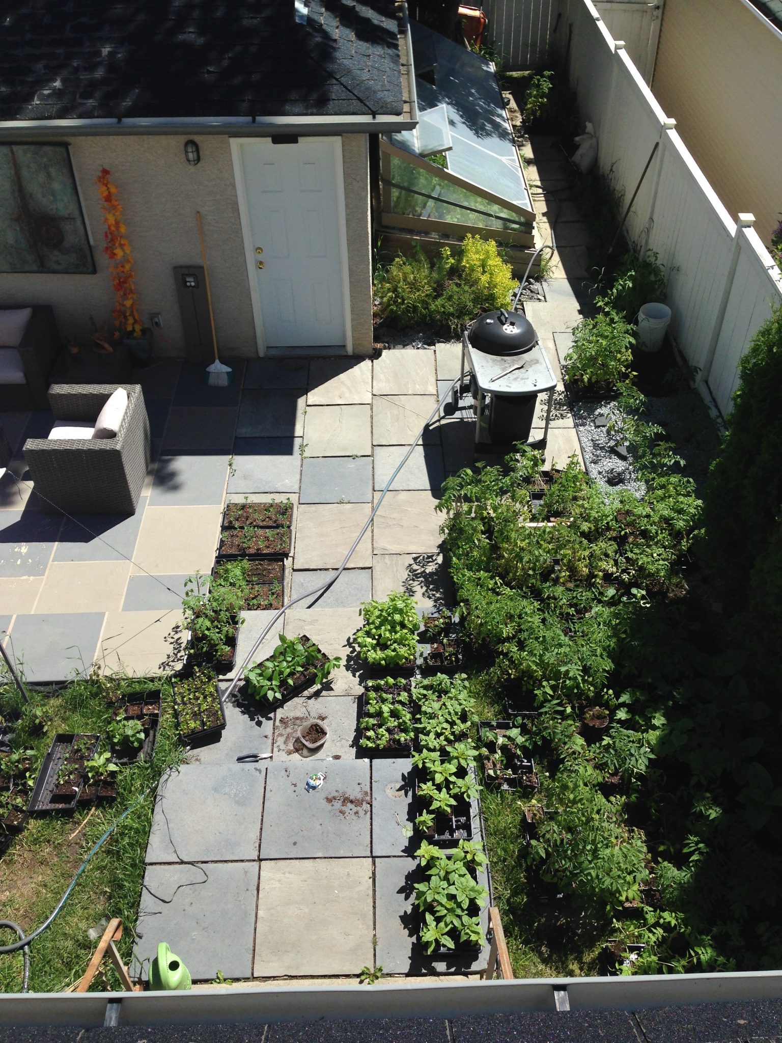 UrbanGrown, My Garden (path)